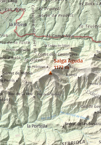 Mapa de relieve de Salga Aguda, 1172 m, Berguedà, lámina 100 Cims de Trobart. Detalle de la zona central. 21 × 30 cm.