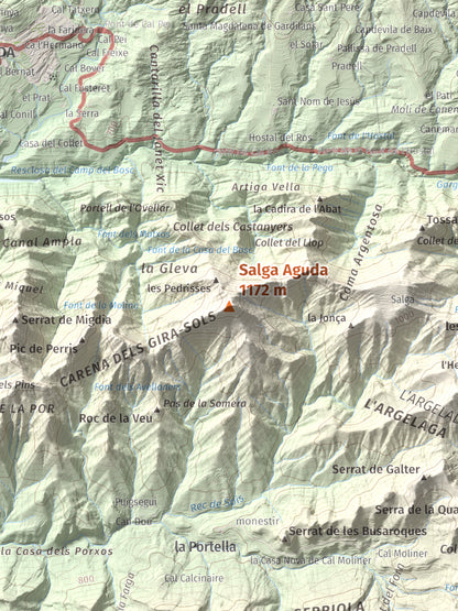 Mapa de relieve de Salga Aguda, 1172 m, Berguedà, lámina 100 Cims de Trobart. Detalle de la zona central. 30 × 40 cm.