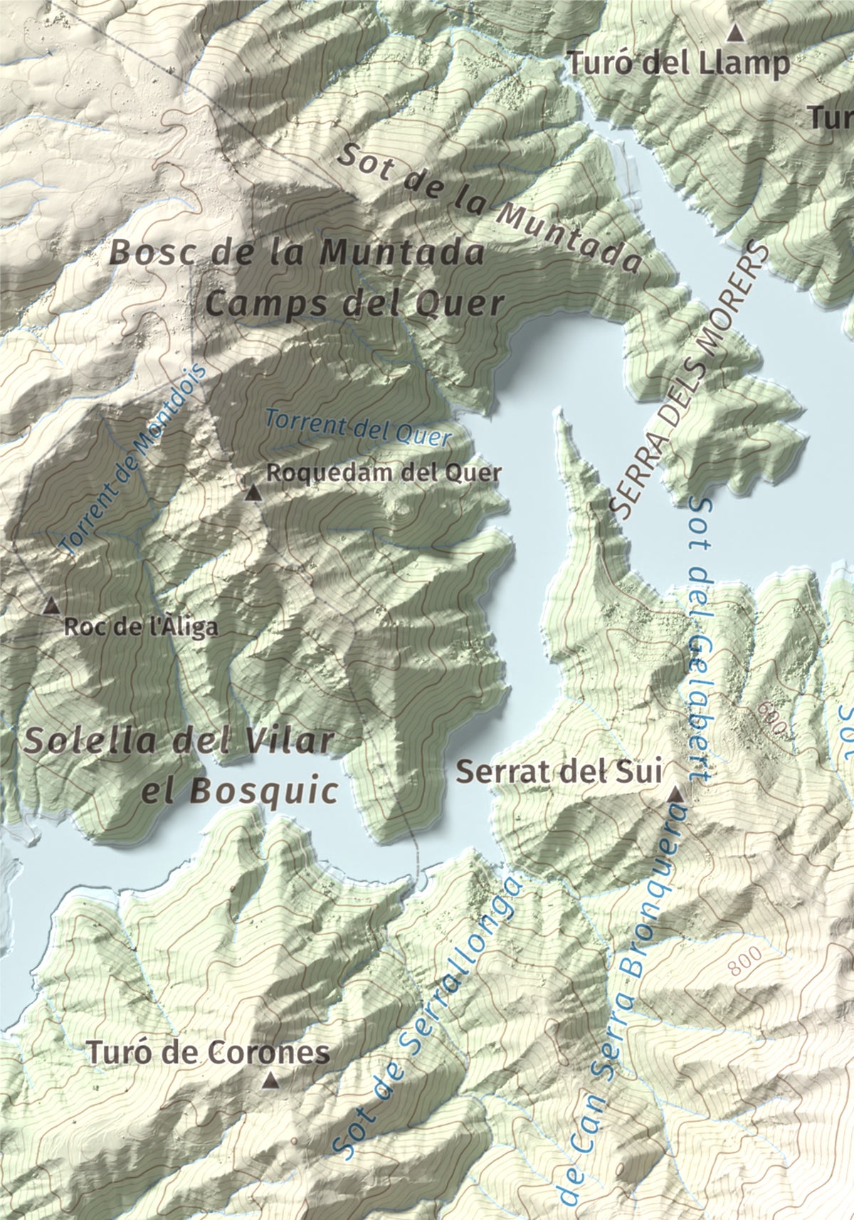 Mapa de relieve de Sant Benet, 1150 m, Selva, lámina 100 Cims de Trobart. Detalle de la zona superior izquierda. 21 × 30 cm.