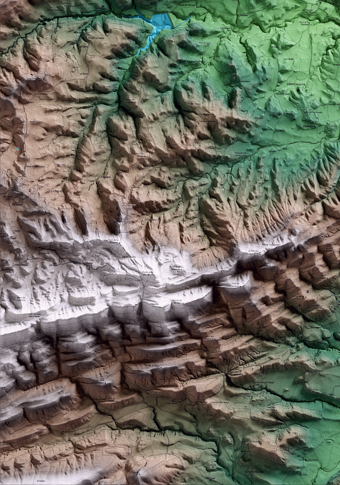 Mapa artístico del relieve de Sant Martí de Tous, al Anoia, con 15 km de entorno y base topográfica ICGC. Detalle de la zona inferior izquierda.