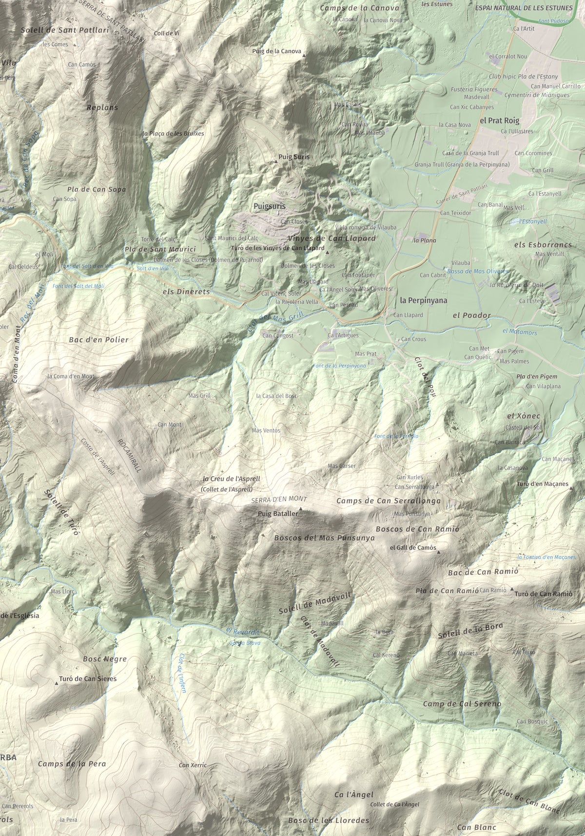 Mapa de relieve de Sant Patllari, 646 m, Pla de l'Estany, lámina 100 Cims de Trobart. Detalle de la zona inferior derecha. 70 × 100 cm.