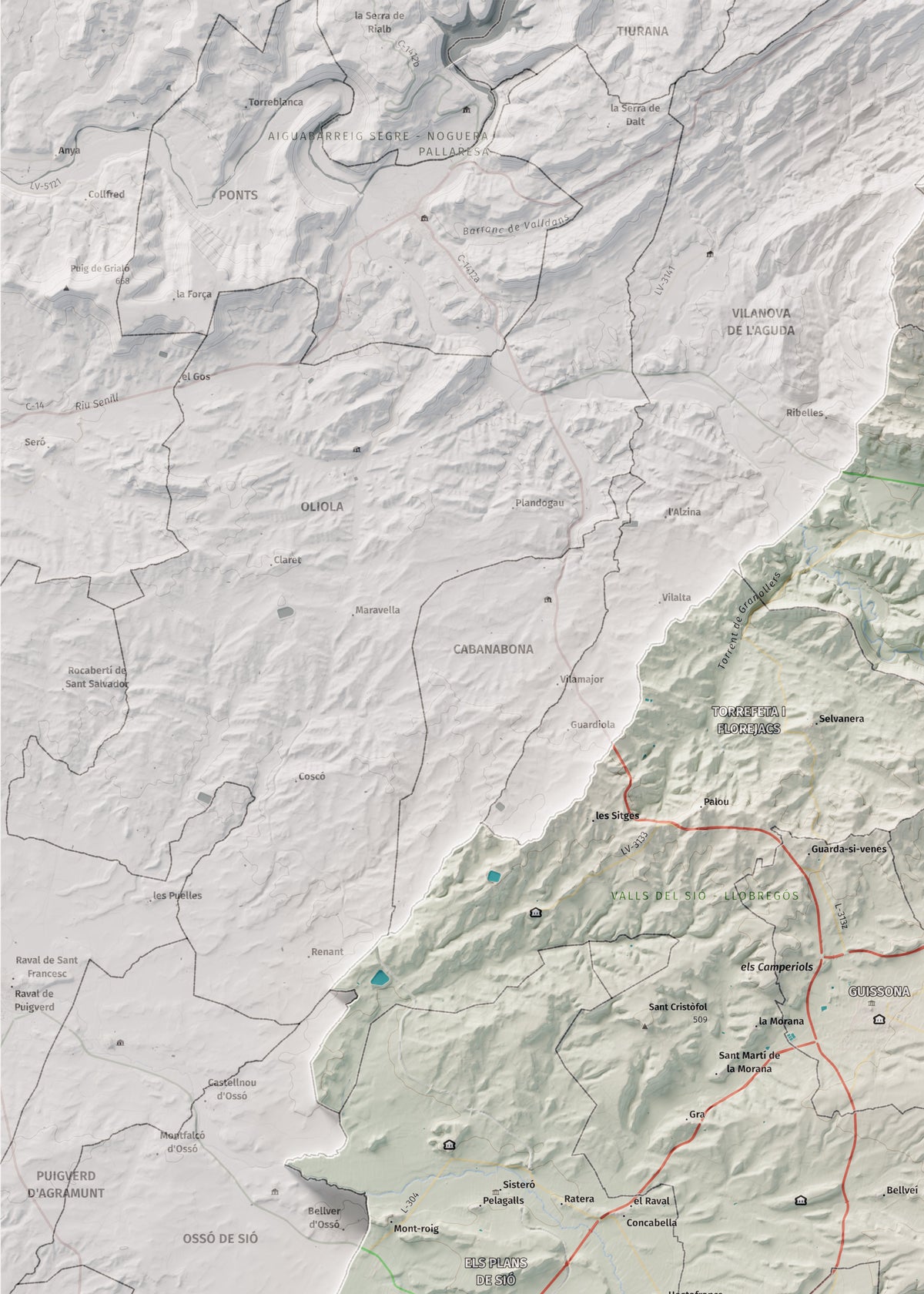 Mapa de relleu de la Segarra, amb el territori en color i l’entorn en blanc. Detall de la part superior esquerra. 50 × 70 cm. Estil Cartogràfic.