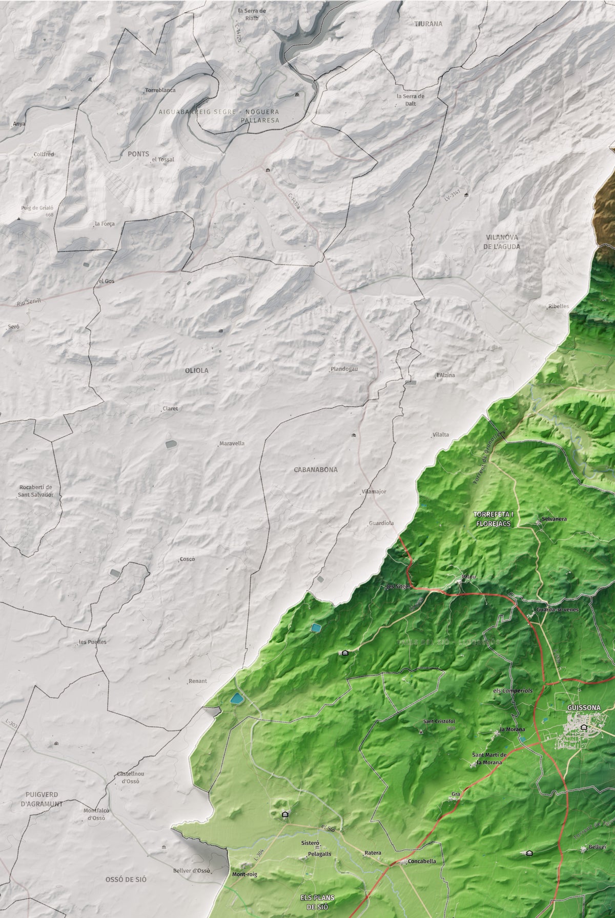Mapa de relleu de la Segarra, amb el territori en color i l’entorn en blanc. Detall de la part superior esquerra. 61 × 91 cm. Estil Clàssic.