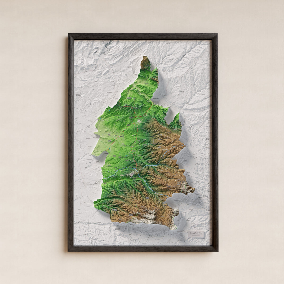 Mapa de relleu de la Segarra, amb el territori en color i l’entorn en blanc. Presentació amb marc. 61 × 91 cm. Estil Clàssic.