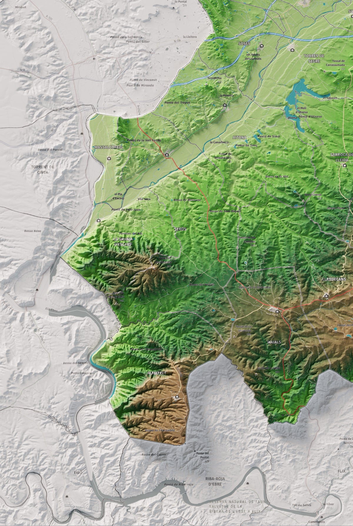Mapa de relieve del Segrià, con el territorio en color y el entorno en blanco. Detalle de la zona inferior izquierda. 61 × 91 cm. Estilo Clásico.