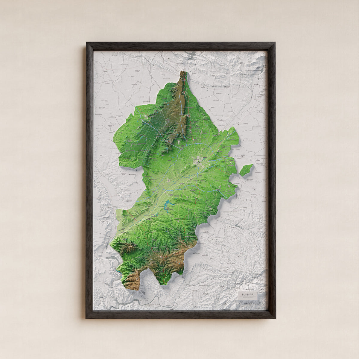 Mapa de relieve del Segrià, con el territorio en color y el entorno en blanco. Presentación con marco. 61 × 91 cm. Estilo Clásico.