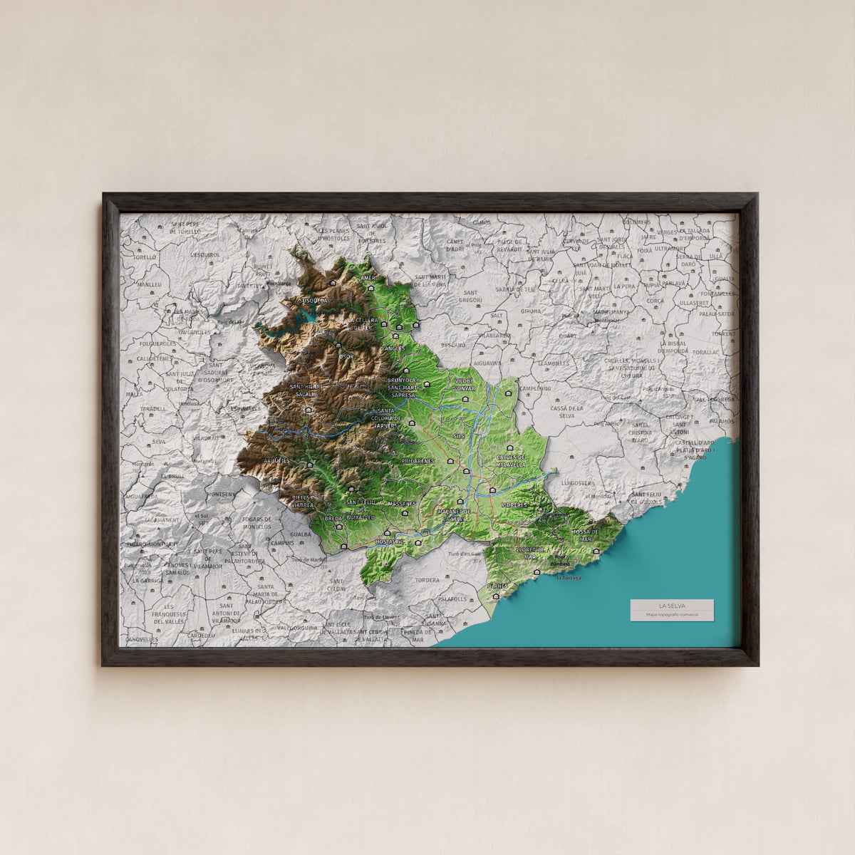 Mapa de relleu de la Selva, amb el territori en color i l’entorn en blanc. Presentació amb marc. 21 × 30 cm. Estil Clàssic.