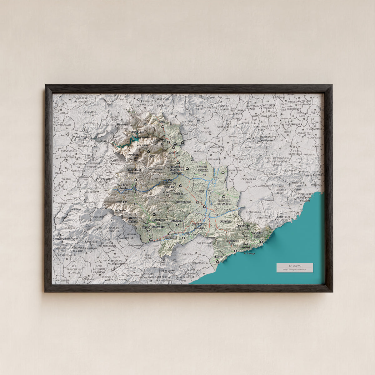 Mapa de relleu de la Selva, amb el territori en color i l’entorn en blanc. Presentació amb marc. 21 × 30 cm. Estil Cartogràfic.