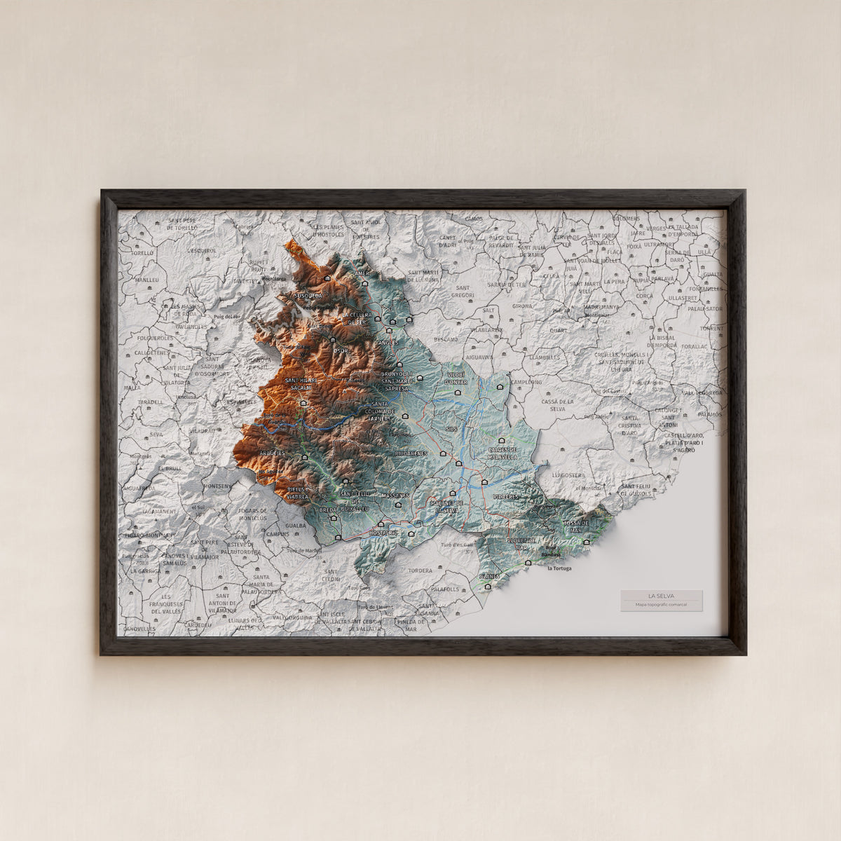 Mapa de relleu de la Selva, amb el territori en color i l’entorn en blanc. Presentació amb marc. 21 × 30 cm. Estil Blau i taronja.