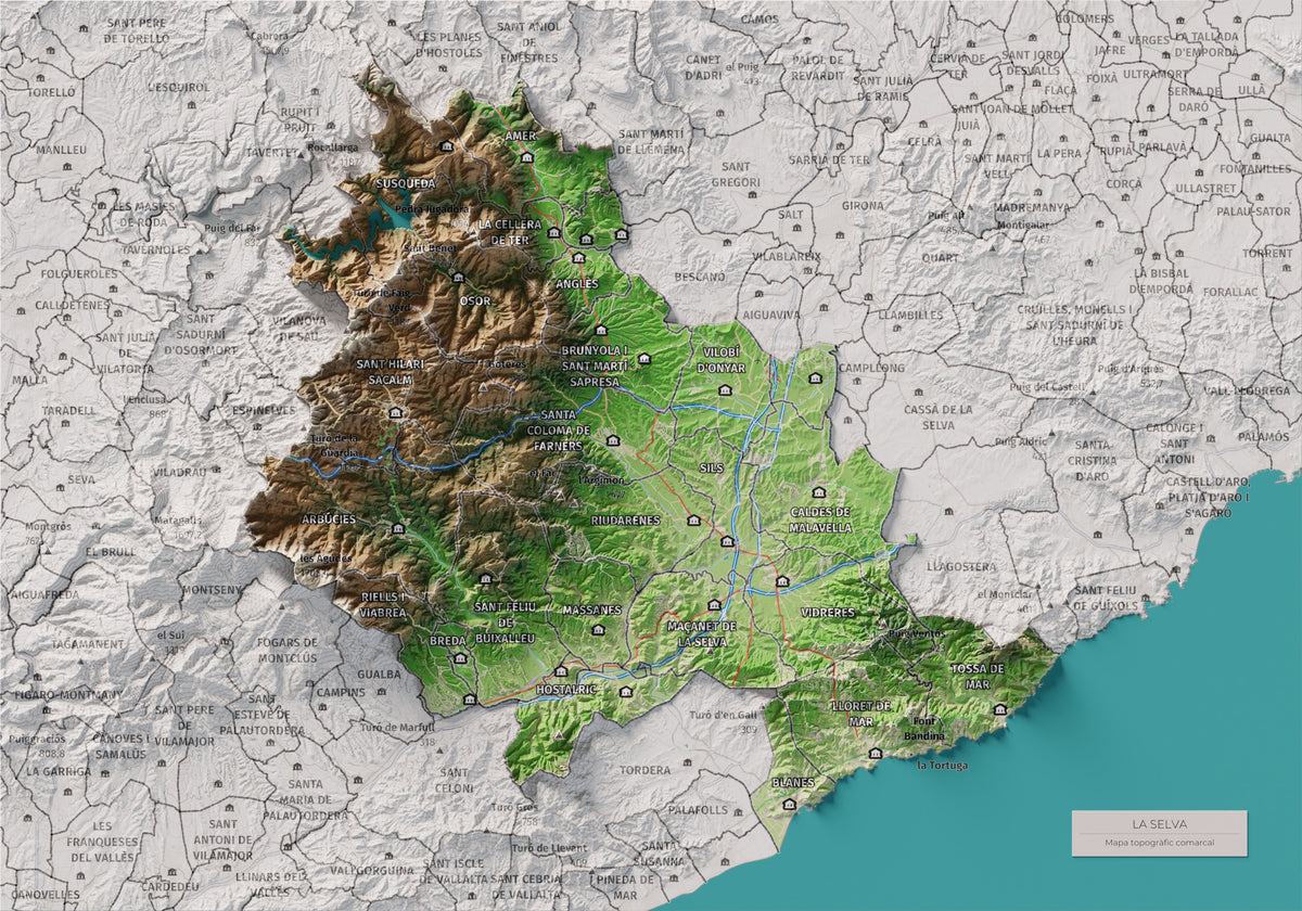 Mapa de relleu de la Selva, amb el territori en color i l’entorn en blanc. Vista completa de la làmina. 21 × 30 cm. Estil Clàssic.