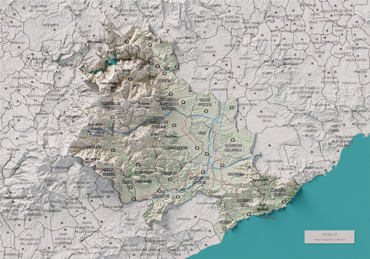 Mapa de relleu de la Selva, amb el territori en color i l’entorn en blanc. Vista completa de la làmina. 21 × 30 cm. Estil Cartogràfic.