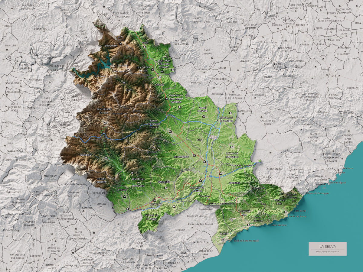 Mapa de relleu de la Selva, amb el territori en color i l’entorn en blanc. Vista completa de la làmina. 30 × 40 cm. Estil Clàssic.