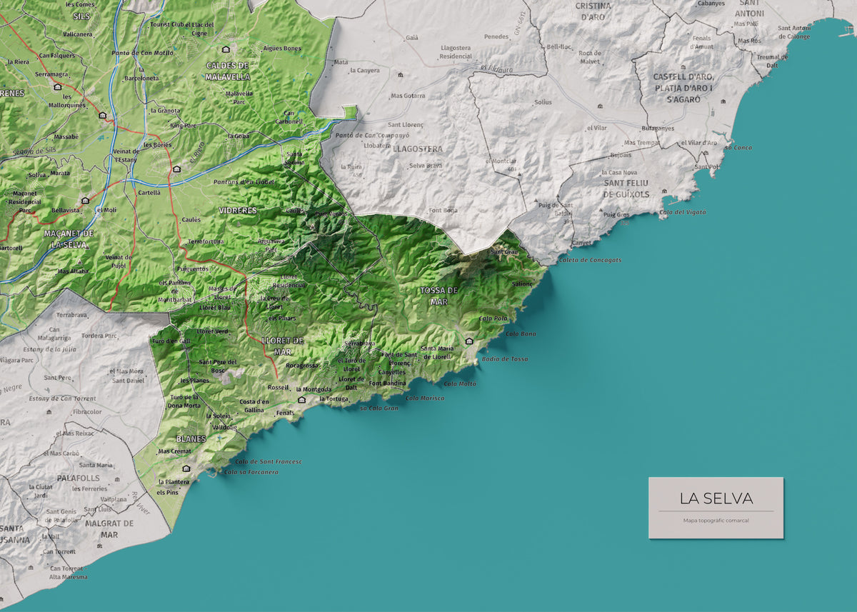 Mapa de relleu de la Selva, amb el territori en color i l’entorn en blanc. Detall de la part inferior dreta. 50 × 70 cm. Estil Clàssic.