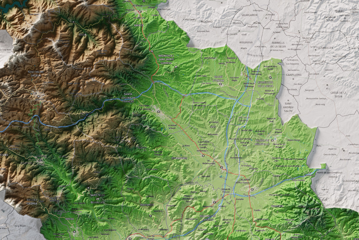 Mapa de relleu de la Selva, amb el territori en color i l’entorn en blanc. Detall de la part central. 61 × 91 cm. Estil Clàssic.