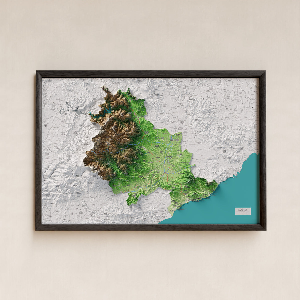 Mapa de relleu de la Selva, amb el territori en color i l’entorn en blanc. Presentació amb marc. 61 × 91 cm. Estil Clàssic.