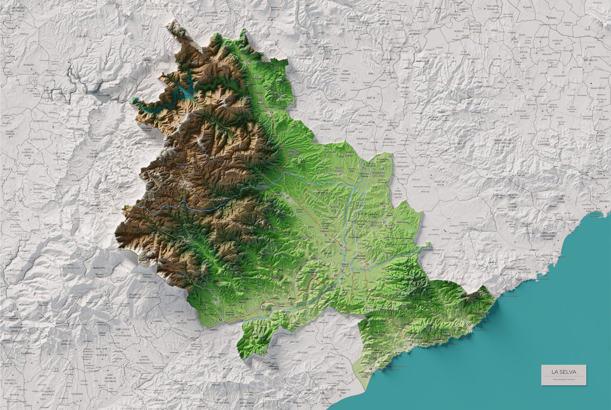 Mapa de relleu de la Selva, amb el territori en color i l’entorn en blanc. Vista completa de la làmina. 61 × 91 cm. Estil Clàssic.