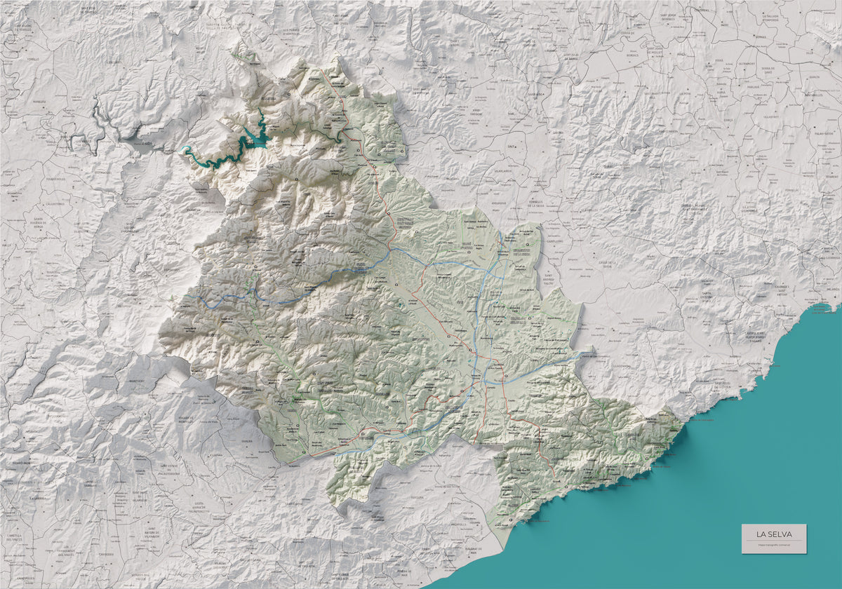 Mapa de relleu de la Selva, amb el territori en color i l’entorn en blanc. Vista completa de la làmina. 70 × 100 cm. Estil Cartogràfic.