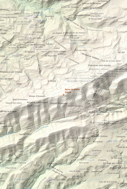 Mapa de relieve de Serra de Pinós, 928 m, Solsonès, lámina 100 Cims de Trobart. Detalle de la zona central. 61 × 91 cm.