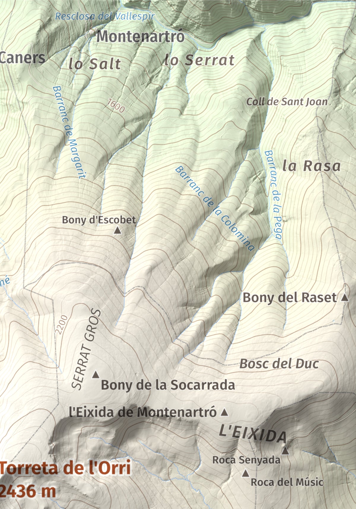 Mapa de relieve de Torreta de l'Orri, 2436 m, Pallars Sobirà, lámina 100 Cims de Trobart. Detalle de la zona superior derecha. 21 × 30 cm.