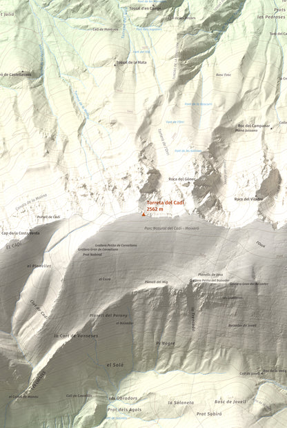 Mapa de relieve de Torreta del Cadí, 2562 m, Alt Urgell, lámina 100 Cims de Trobart. Detalle de la zona central. 61 × 91 cm.
