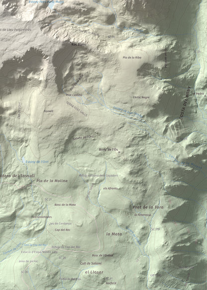Mapa de relieve de Tossa Plana de Lles (pic de la Portelleta), 2905 m, Andorra · Cerdanya, lámina 100 Cims de Trobart. Detalle de la zona inferior derecha. 50 × 70 cm.
