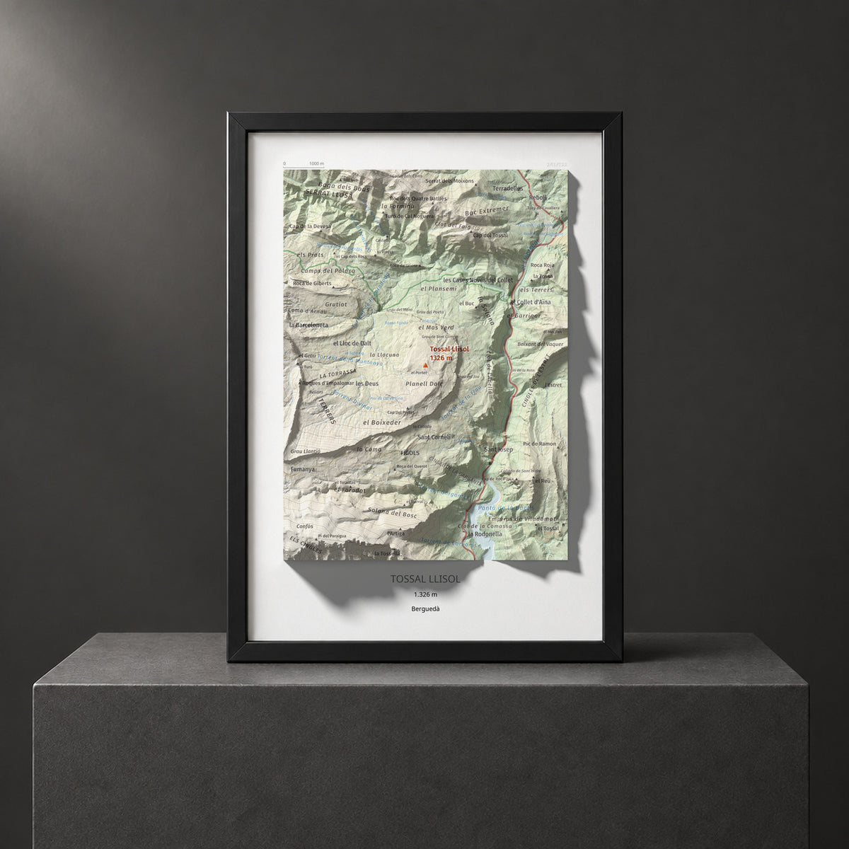 TOSSAL LLISOL - 263/522 - Col·lecció artística 100 cims