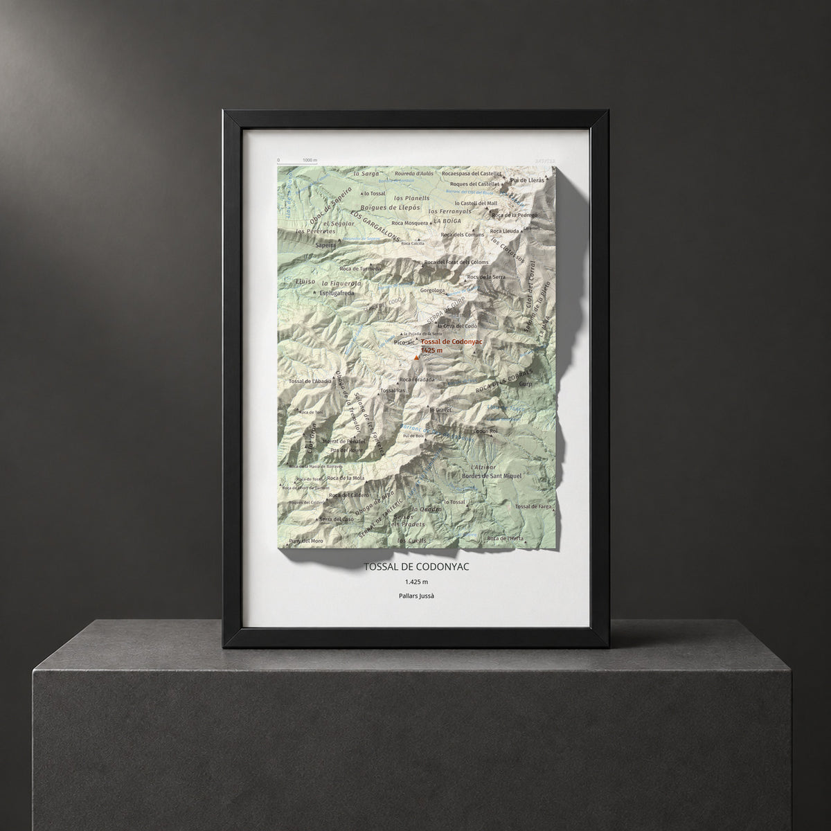 TOSSAL DE CODONYAC - 247/522 - Colección artística 100 cims
