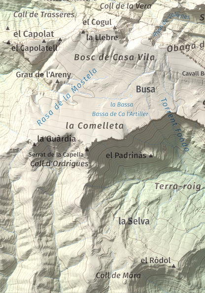 Mapa de relieve de Tossal de les Viudes, 1379 m, Berguedà · Solsonès, lámina 100 Cims de Trobart. Detalle de la zona inferior izquierda. 21 × 30 cm.