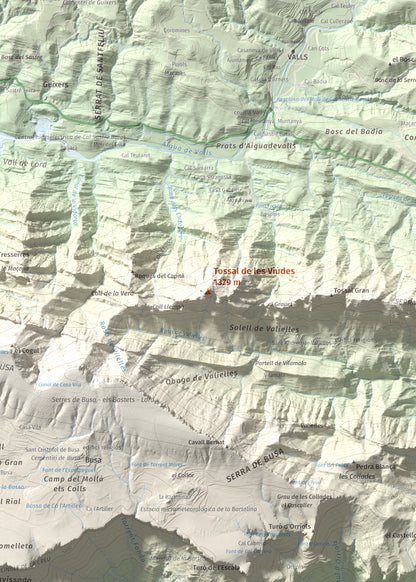 Mapa de relieve de Tossal de les Viudes, 1379 m, Berguedà · Solsonès, lámina 100 Cims de Trobart. Detalle de la zona central. 50 × 70 cm.