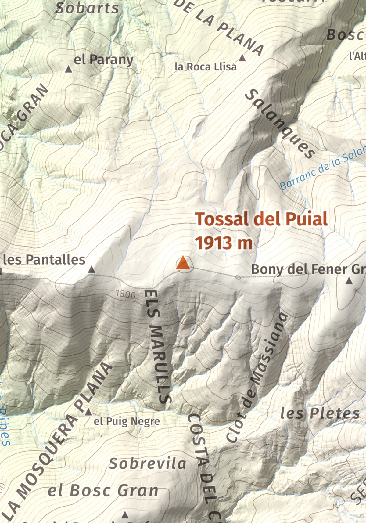 Mapa de relieve de Tossal del Puial, 1913 m, Pallars Sobirà, lámina 100 Cims de Trobart. Detalle de la zona central. 21 × 30 cm.