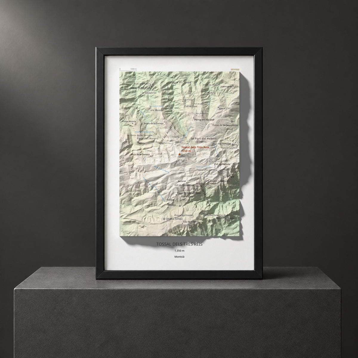 TOSSAL DELS TRES REIS - 257/522 - Colección artística 100 cims