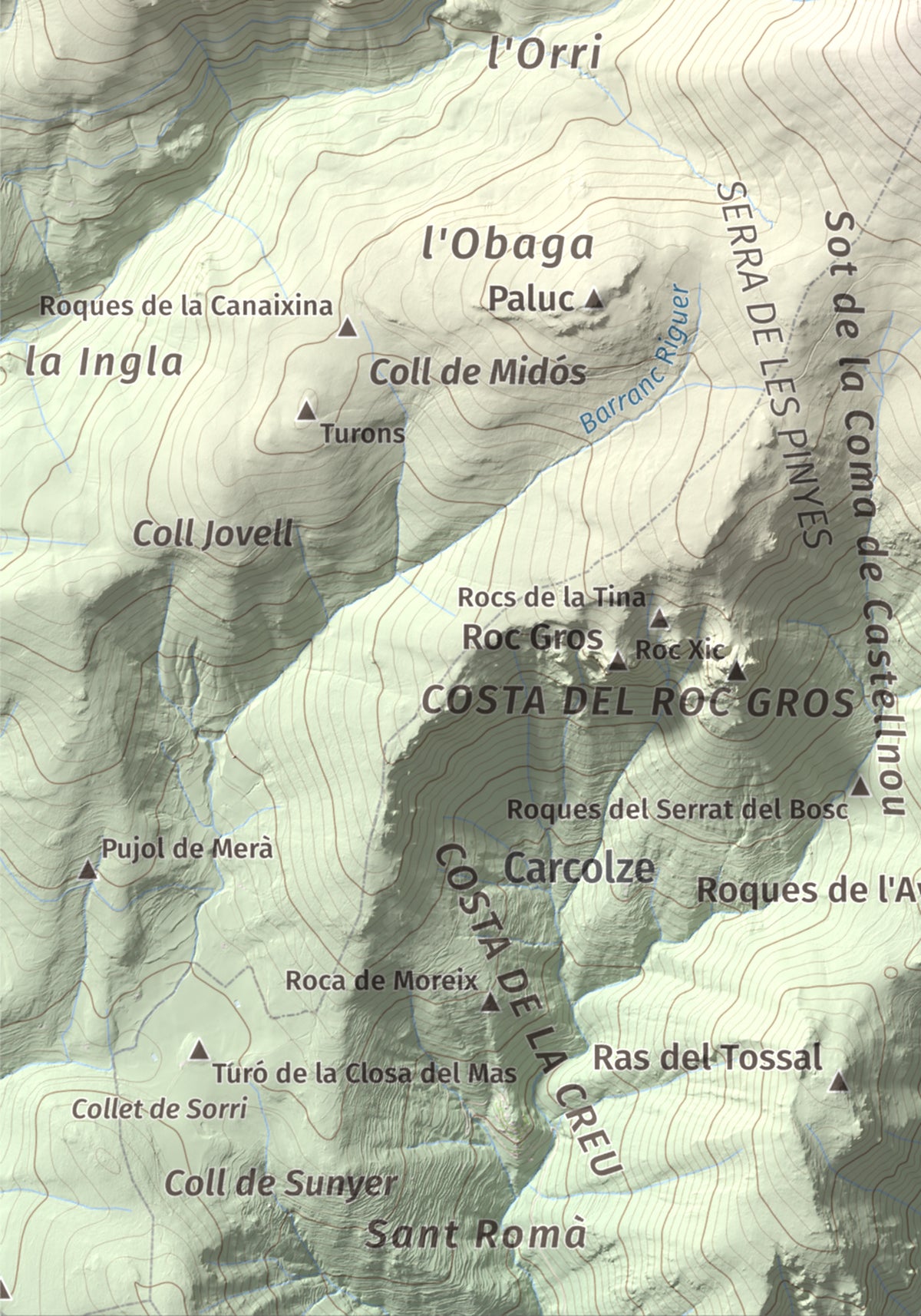 Mapa de relieve de Turó Punçó, 2493 m, Alt Urgell · Cerdanya, lámina 100 Cims de Trobart. Detalle de la zona inferior izquierda. 21 × 30 cm.