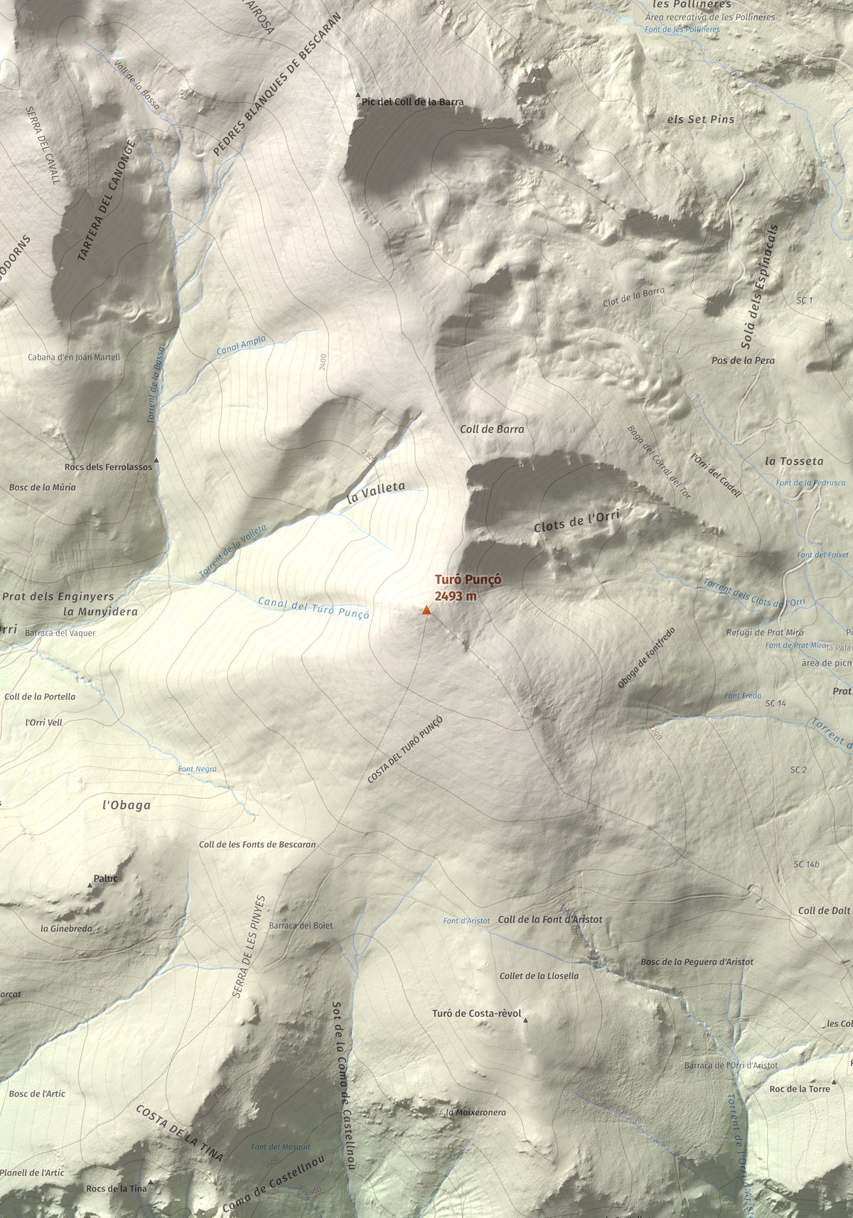 Mapa de relieve de Turó Punçó, 2493 m, Alt Urgell · Cerdanya, lámina 100 Cims de Trobart. Detalle de la zona central. 70 × 100 cm.