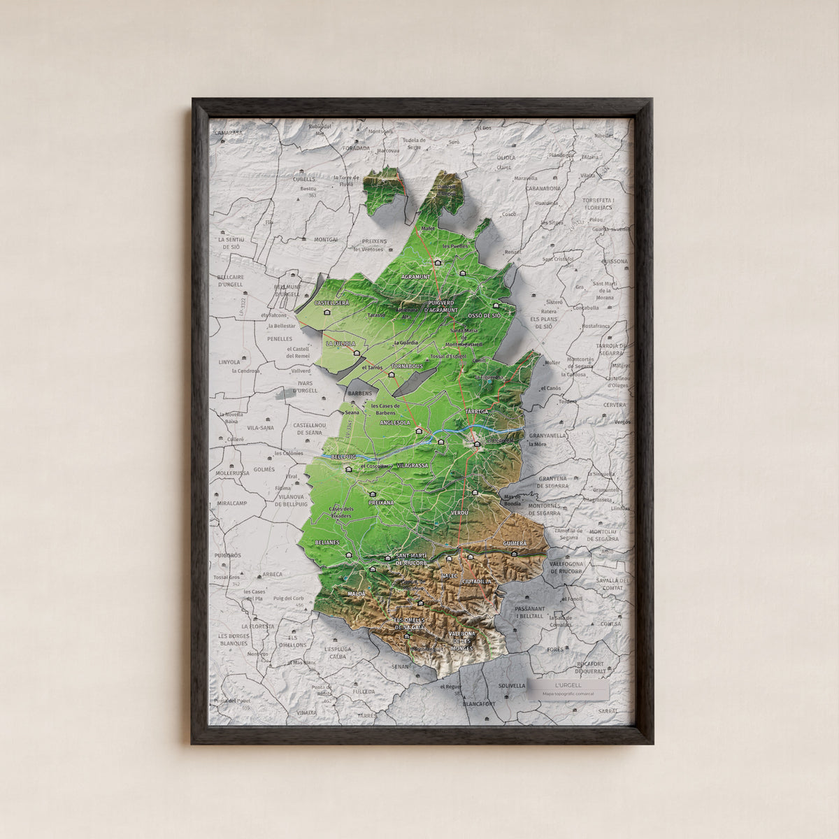 Mapa de relleu de l’Urgell, amb el territori en color i l’entorn en blanc. Presentació amb marc. 21 × 30 cm. Estil Clàssic.