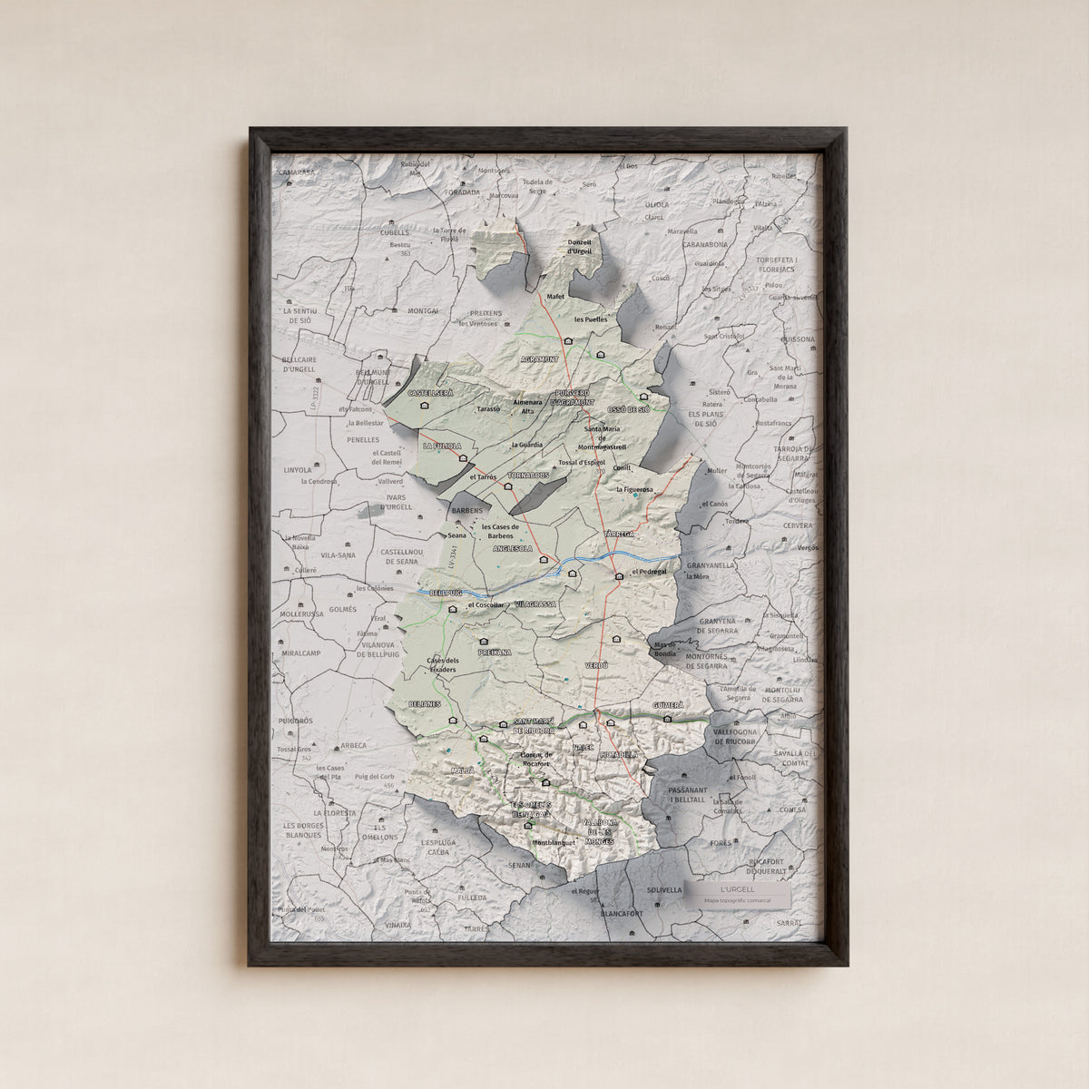 Mapa de relleu de l’Urgell, amb el territori en color i l’entorn en blanc. Presentació amb marc. 21 × 30 cm. Estil Cartogràfic.