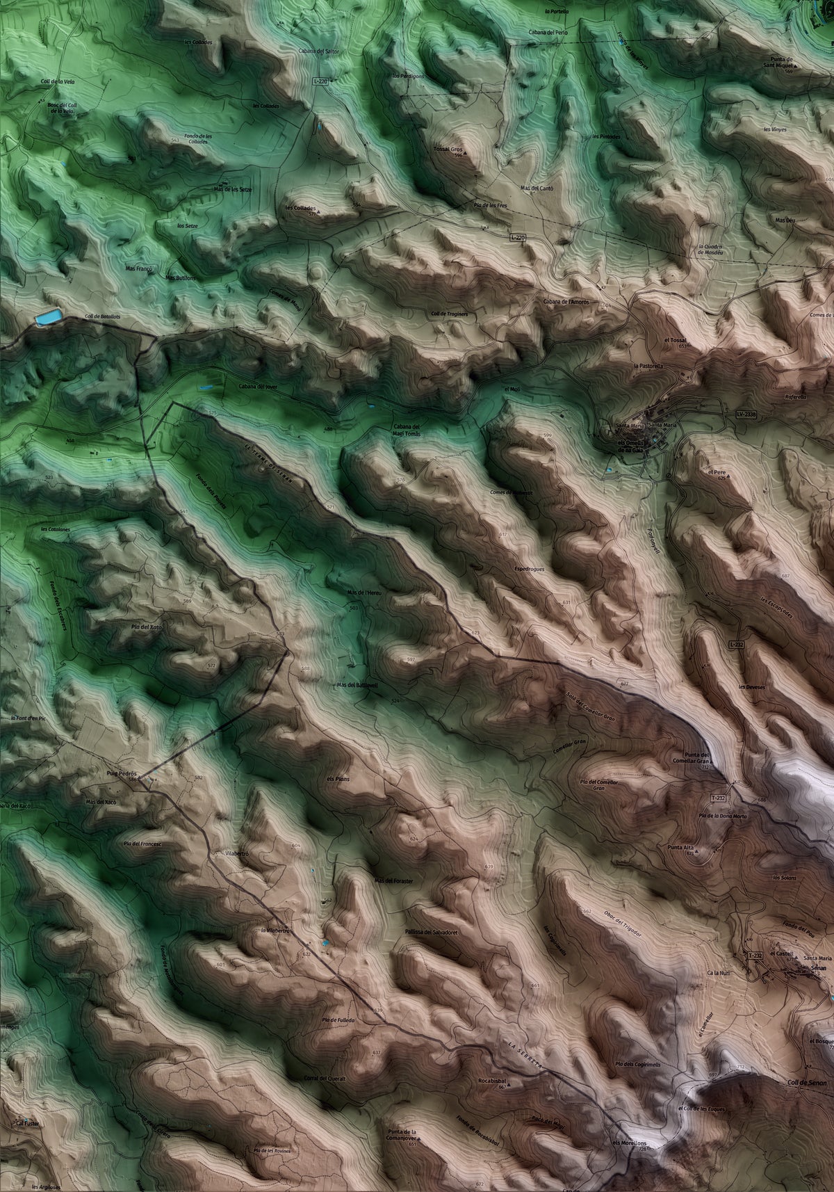 Mapa artístico del relieve de Vallbona de les Monges, al Urgell, con 15 km de entorno y base topográfica ICGC. Detalle de la zona inferior izquierda.