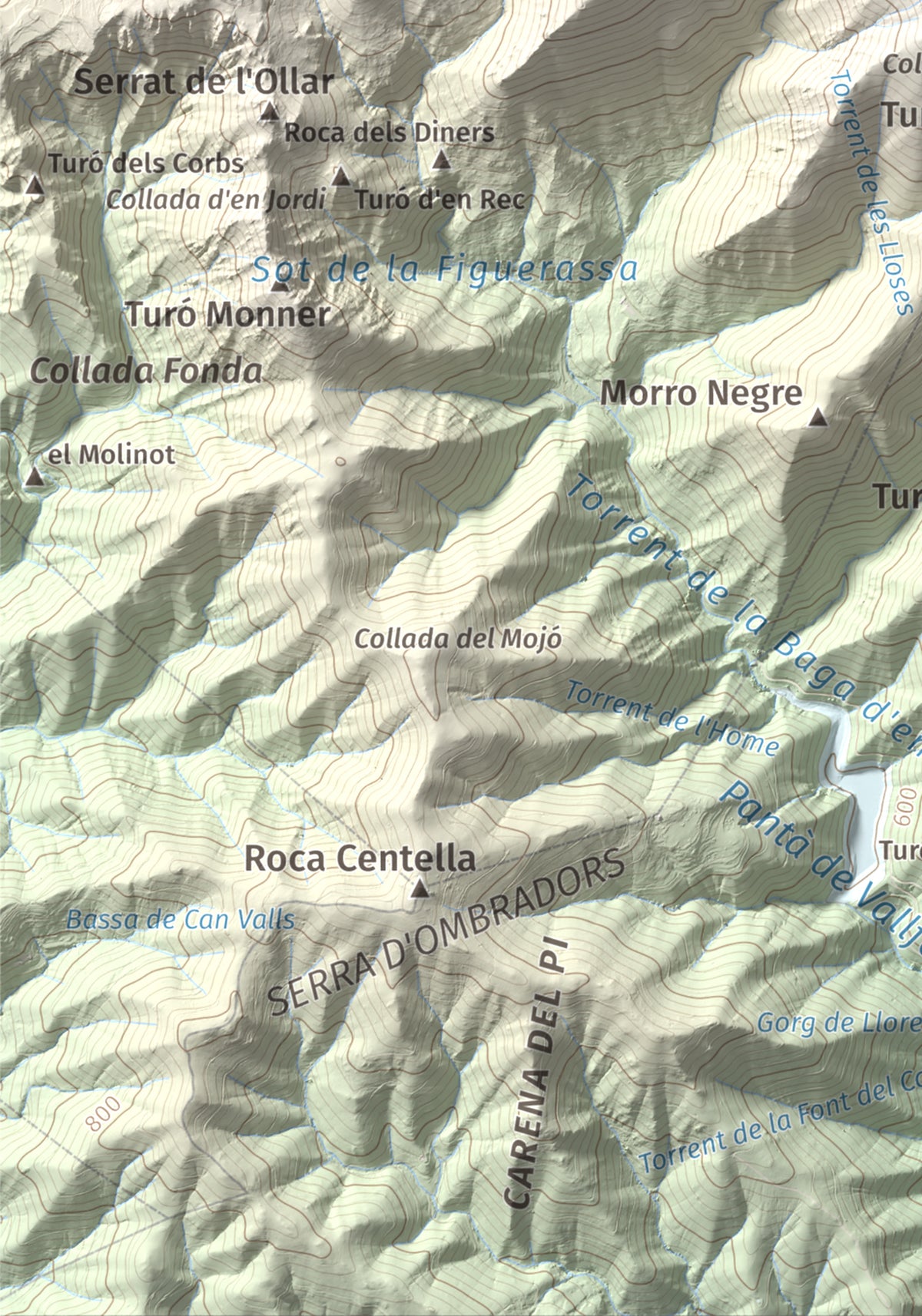 Mapa de relieve del Sui, 1319 m, Vallès Oriental, lámina 100 Cims de Trobart. Detalle de la zona inferior izquierda. 21 × 30 cm.