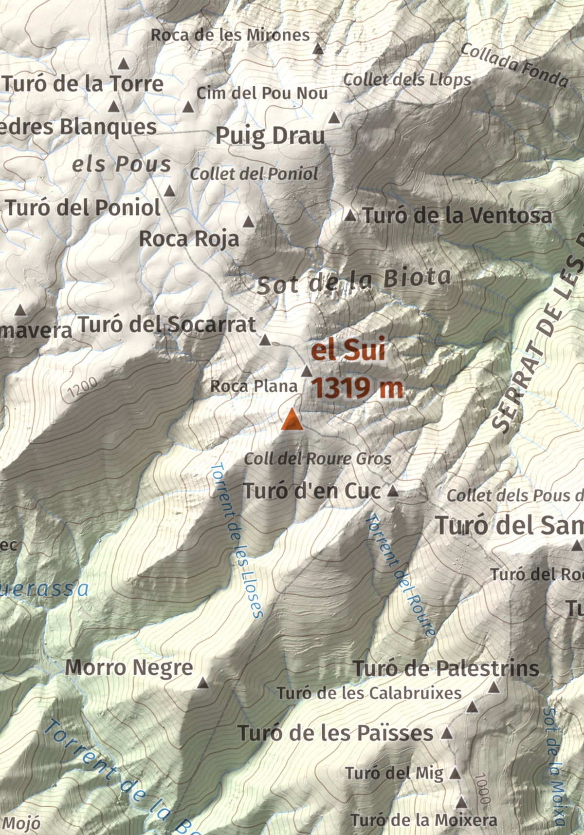 Mapa de relieve del Sui, 1319 m, Vallès Oriental, lámina 100 Cims de Trobart. Detalle de la zona central. 21 × 30 cm.