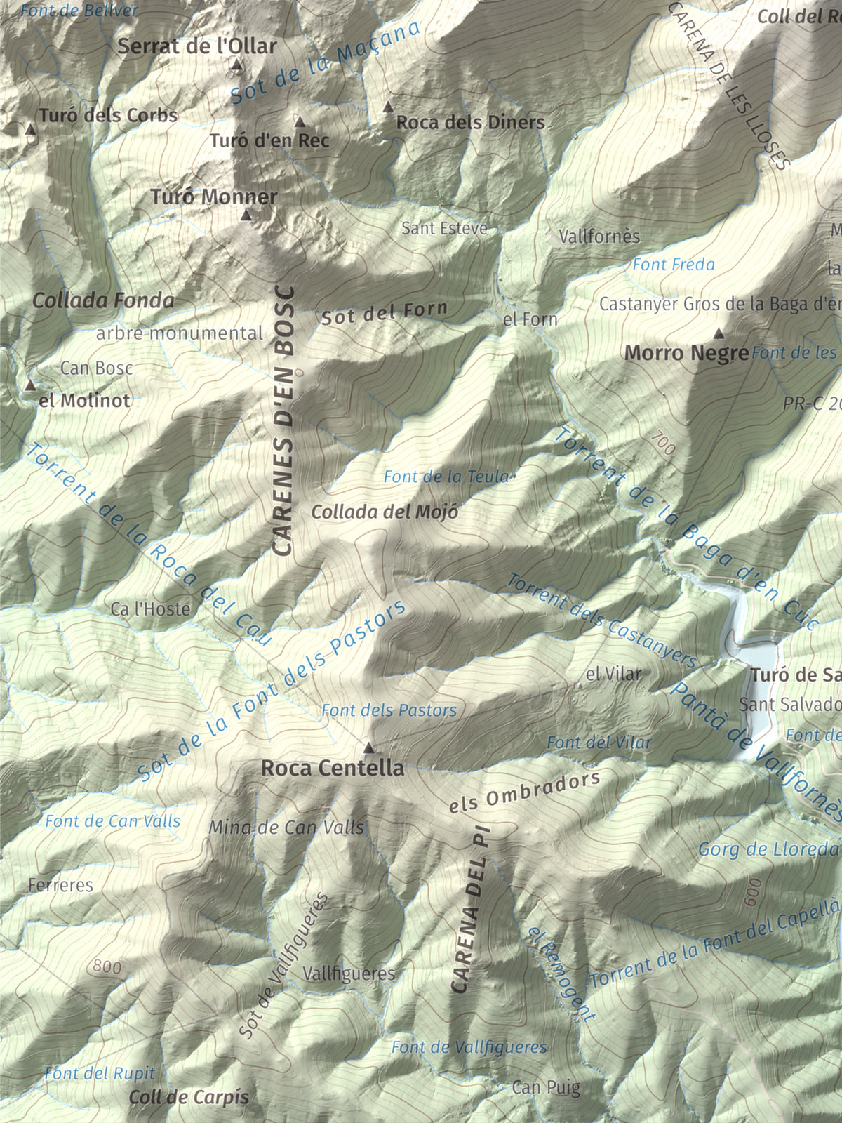 Mapa de relieve del Sui, 1319 m, Vallès Oriental, lámina 100 Cims de Trobart. Detalle de la zona inferior izquierda. 30 × 40 cm.