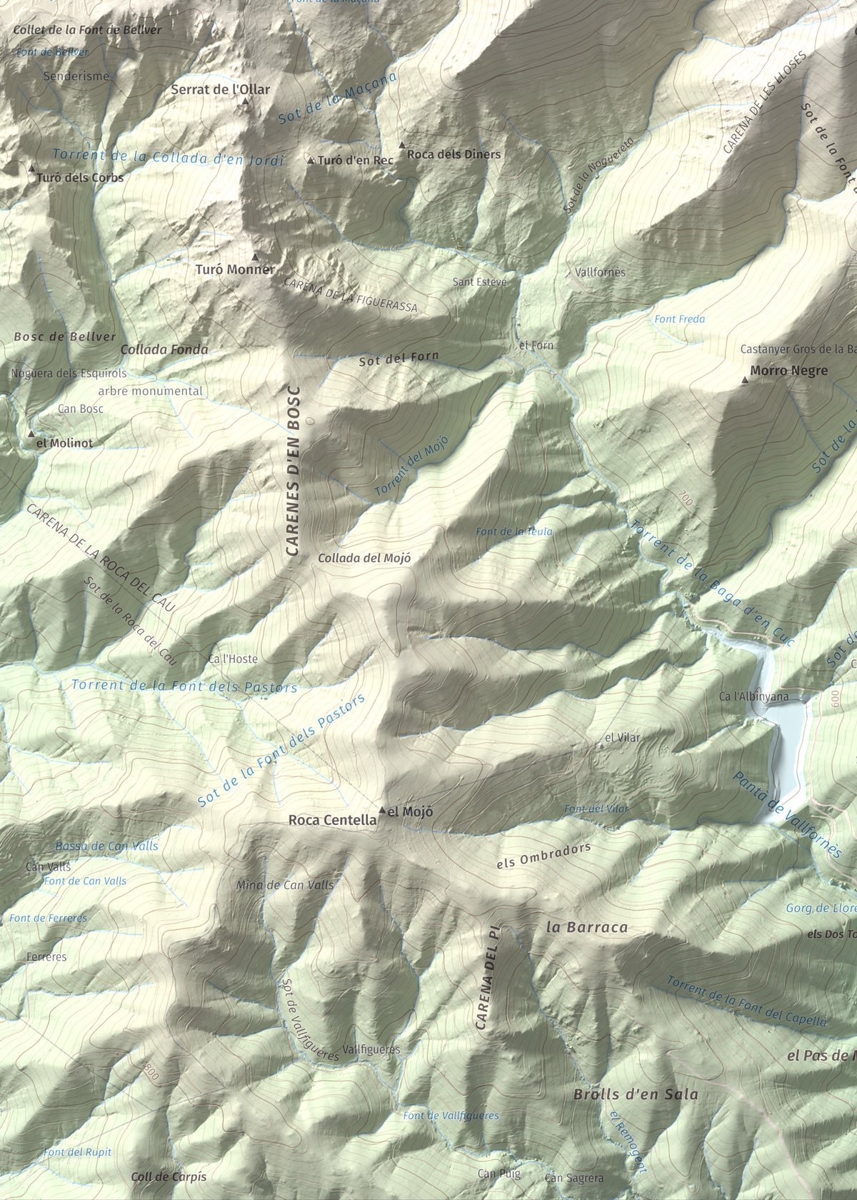 Mapa de relieve del Sui, 1319 m, Vallès Oriental, lámina 100 Cims de Trobart. Detalle de la zona inferior izquierda. 50 × 70 cm.