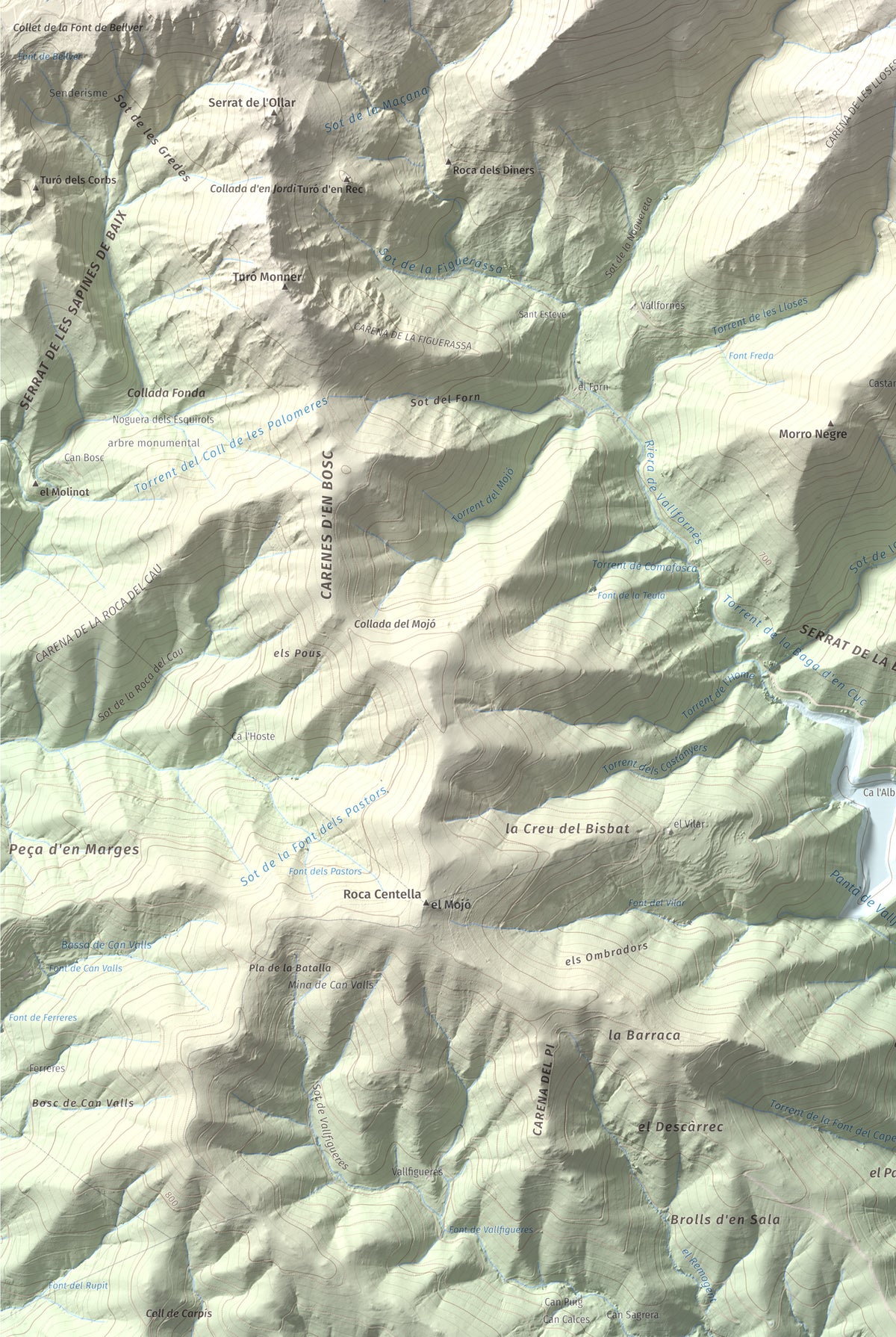 Mapa de relieve del Sui, 1319 m, Vallès Oriental, lámina 100 Cims de Trobart. Detalle de la zona inferior izquierda. 61 × 91 cm.