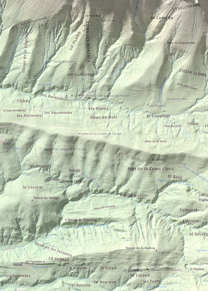 Mapa de relieve de l'Avedoga d'Adons, 1839 m, Alta Ribagorça · Pallars Jussà, lámina 100 Cims de Trobart. Detalle de la zona inferior izquierda. 50 × 70 cm.