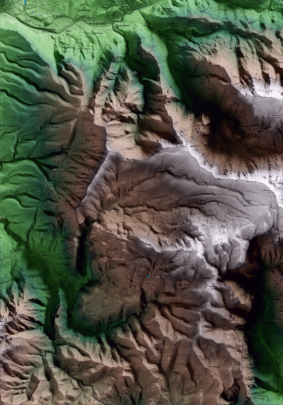 Mapa artístico del relieve de la Torre de Fontaubella, al Priorat, con 15 km de entorno y base topográfica ICGC. Detalle de la zona inferior izquierda.