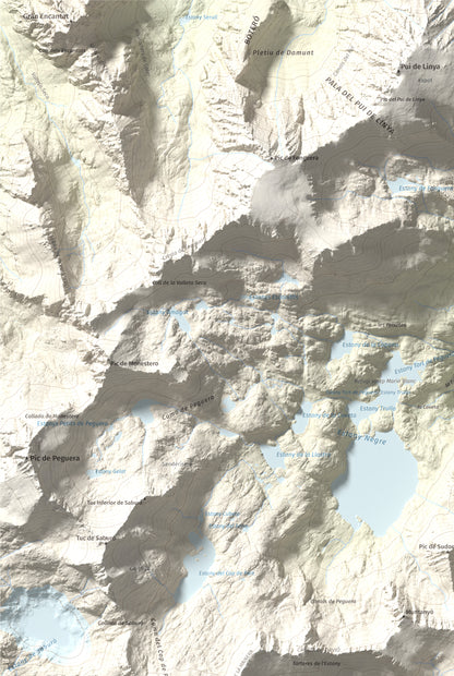 Mapa de relieve de les Picardes, 2802 m, Pallars Sobirà, lámina 100 Cims de Trobart. Detalle de la zona superior izquierda. 61 × 91 cm.
