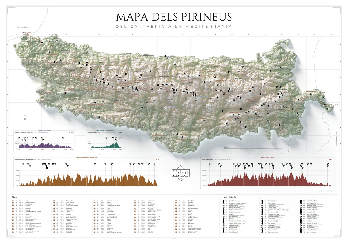 Mapa de los Pirineos en paleta Cartográfico: lámina completa de 100 × 70 cm con cumbres y perfiles GR.