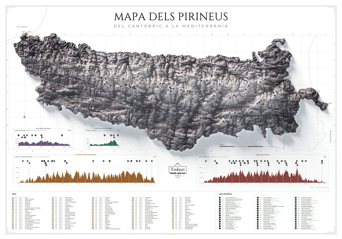 Mapa de los Pirineos en paleta Cendra: lámina completa de 100 × 70 cm con cumbres y perfiles GR.