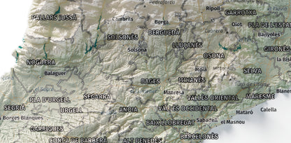 Mapa del relieve de Principat de Catalunya · Cartográfico · 21 × 30 cm · Detalle del centro