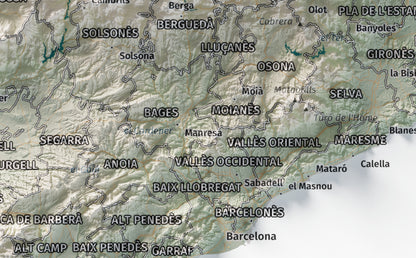 Mapa del relieve de Principat de Catalunya · Cartográfico · 21 × 30 cm · Ciudades y límites administrativos