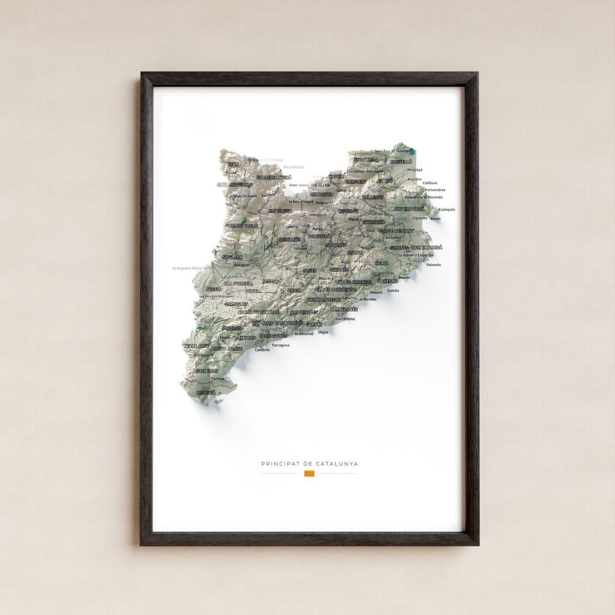 Mapa del relieve de Principat de Catalunya · Cartográfico · 21 × 30 cm · Lámina enmarcada