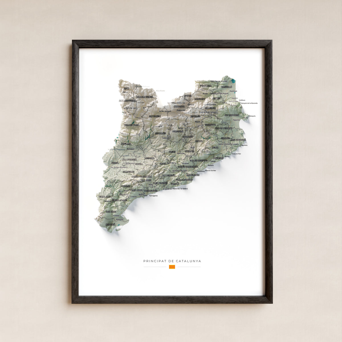 Mapa del relieve de Principat de Catalunya · Cartográfico · 30 × 40 cm · Lámina enmarcada